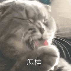 太心痛了！猫咪这5个行为其实是在向你喊救命！