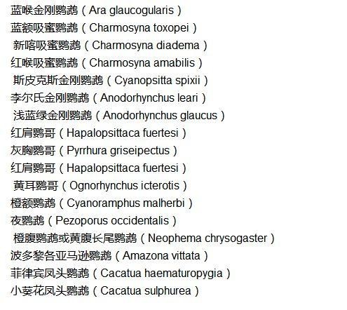 鸟类中的哈士奇总是在作死边缘徘徊的鹦鹉这种鸟没灭绝是奇迹