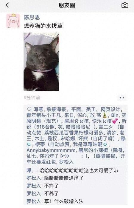 我寻思一只猫一只狗能丑到哪里去，直到我看见了它们